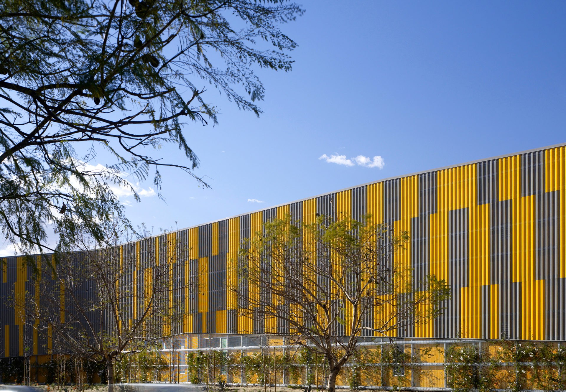 Camino Nuevo exterior wall